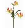 Decorative Gloriosa XELA, orange-yellow, 20"/50cm, Ø1.6"-2.8"/4-7cm