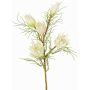 Decorative protea branch NOHEA, white, 24"/60cm, Ø1.2"-2.4"/3-6cm