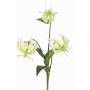 Gloriosa XELA decorative flower, white-green, 20"/50cm, Ø1.6"-2.8"/4-7cm