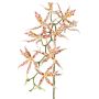 Artificial Brassia Orchid ORELA, white-red, 35"/90cm