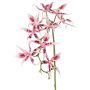 Artificial Brassia orchid ORELA, pink-fuchsia, 35"/90cm