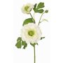 Artificial ranunculus branch SAGARA, white-green, 18"/45cm, Ø2"-3.5"/5-9cm