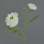Artificial ranunculus branch SAGARA, white-green, 45cm, Ø5-9cm