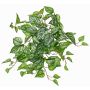 Artificial hanging plant satin pothos KEVINA on spike, Eco Collection, green-white, 22"/55cm