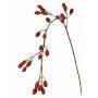 Decorative blackberry branch URUMA with berries, red, 3ft/100cm