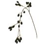 URUMA decorative blackberry branch with berries, black, 100cm