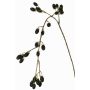 Decorative blackberry branch URUMA with berries, black, 3ft/100cm