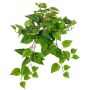 Decorative plant Hanging pothos SHELLEY on spike, Eco Collection, green, 22"/55cm