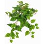 Decorative plant hanging pothos SHELLEY on spike, Eco Collection, green, 22"/55cm