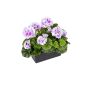 FLOREANA artificial geraniums in a window box, 2 pieces, purple and white, 24x11x35cm