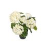 ELISABETTA artificial geranium in a decorative pot, white, 35cm