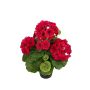 ELISABETTA artificial geranium in decorative pot, pink, 35cm
