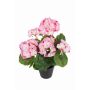 ELISABETTA artificial geranium in decorative pot, light pink, 35cm