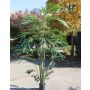 Artificial Kentia Palm EDDARD, 9ft/270cm
