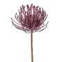 Artificial flower Pincushion protea ZIRMO, purple, 20"/50cm