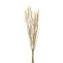 Artificial wheat bunch TILPA with ears, cream, 20"/50cm