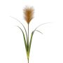 Decorative pampas grass panicle JIRZA, spike, brown, 30"/75cm
