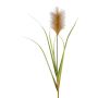 Decorative pampas grass panicle JIRZA, spike, brown, 3ft/105cm