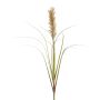 Decorative grass Millet CUVRO on spike, green, 3ft/105cm
