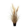 Decorative grass Pampas grass SIRFO with panicles, brown, 30"/75cm