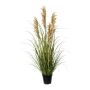 Decorative grass Millet SIRFU, brown-beige, 3ft/90cm