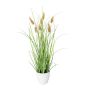 Decorative grass Hare's tail BIRVO in melamine pot, panicles, beige, 16"/40cm
