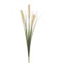 Decorative grass Wheat SUNDY on spike, ears, cream, 33"/85cm
