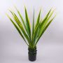 Artificial agave CHERIE, green-yellow, 4ft/110cm