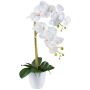Decorative flower Phalaenopsis orchid BLENTOR in melamine planter, roots, white, 22"/55cm