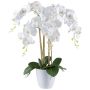 Decorative flower Phalaenopsis orchid BLENTOR in melamine planter, roots, white, 24"/60cm