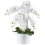 Decorative flower Phalaenopsis orchid TOUNI, ceramic pot, roots, white, 24"/60cm