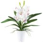 Artificial Cymbidium orchid BLORKE in melamine planter, roots, white-pink, 22"/55cm