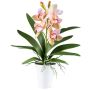 Artificial Cymbidium orchid BLORKE in melamine planter, roots, green-pink, 22"/55cm