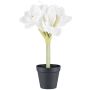 Decorative flower Amaryllis PRIFT in decorative pot, white, 12"/30cm