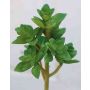 Artificial echeveria gibbiflora TROY, spike, green, 7"/17cm