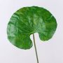 Fake lotus flower leaf ZEREENA, green, 28"/70cm