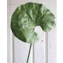 Fake lotus flower leaf ZEREENA, green, 28"/70cm