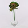 Plastic Echeveria gibbiflora ERNESTO, spike, green-pink, 9"/23cm, Ø5.1"/13cm