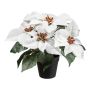 Artificial flower Poinsettia FRIZO in decorative pot, white, 10"/26cm