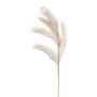 Artificial wood small-reed panicle ALFIN, beige, 31"/80cm