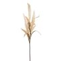 Decorative branch Bristlegrass KENFIR with panicles, cream, 28"/70cm