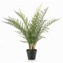 Artificial sword fern LOWTAN in decorative pot, crossdoor, green, 26"/65cm