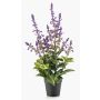 SWORTA artificial sage in a decorative pot, flowers, lavender, 45 cm