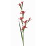 GROWEL artificial gladiolus, coral, 105cm