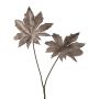 Artificial branch of aralia JOMLER, anthracite, 20"/50cm
