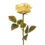 Artificial flower rose DRINT, green-cream, 24"/60cm, Ø4.1"/10.5cm