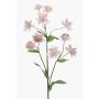 Decorative Starflower Branch JAXRON, light pink, 70cm