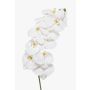 Artificial Phalaenopsis orchid branch XURI, white, 95cm, Ø12.5cm