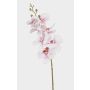 Artificial Phalaenopsis orchid branch AXELOR, white-pink, 85 cm