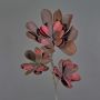 Plastic Echeveria branch ORALY, dark purple, 3ft/95cm, Ø5.9"-9"/15-24cm